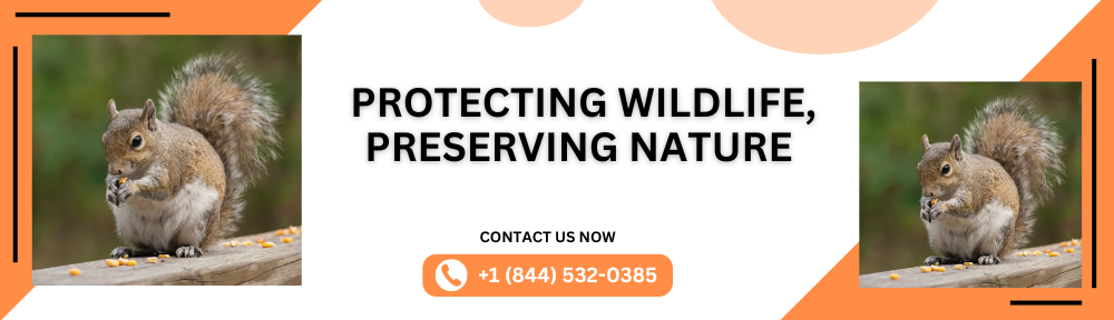 wildlife control solutions